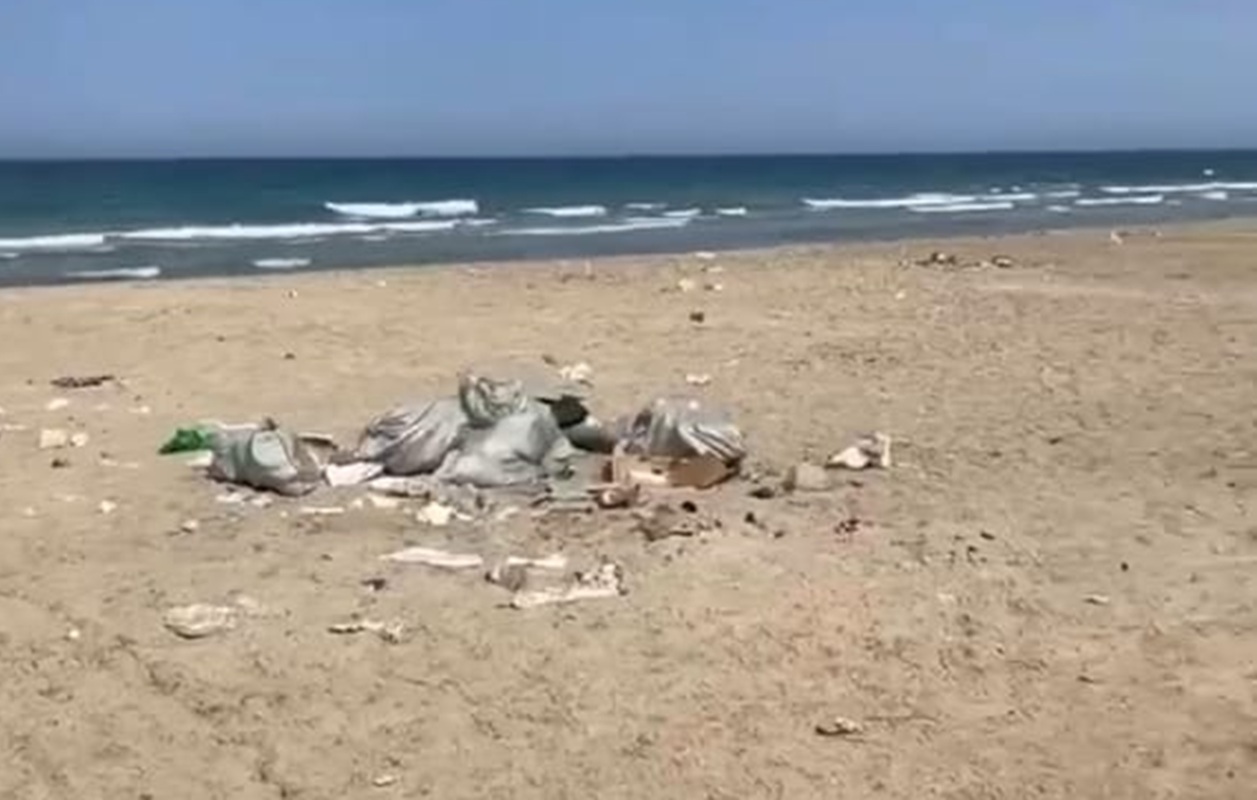 Фото: стоп-кадр из видео
