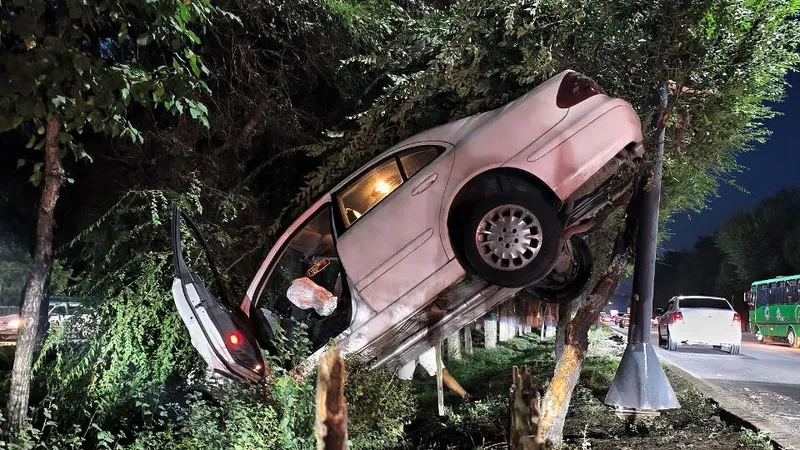 Врезалась в дерево и столб: в Алматы пострадала девушка на Chrysler