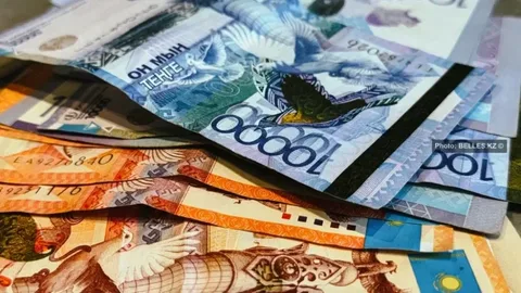Казахстанку оштрафовали на 78 тыс тенге за громкий разговор