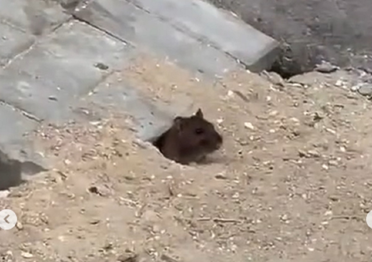 Кадр видео