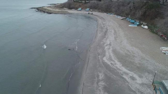 Турция застыла перед «исчезновением» Мраморного моря