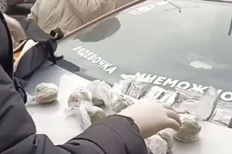 «Я девочка, мне можно»: необычная надпись на авто привела к задержанию наркоторговца в Казахстане (видео)