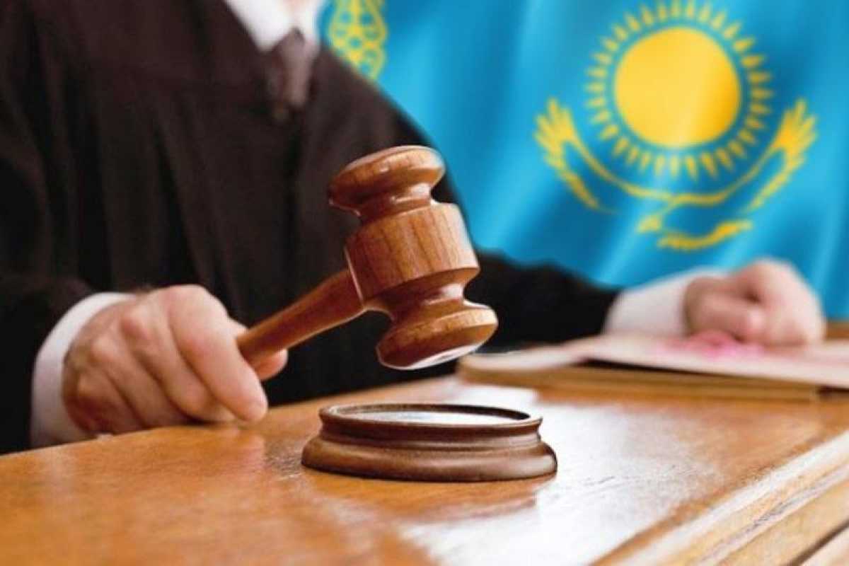 Россиянка пыталась продать почку за 25 миллионов тенге в Казахстане и получила срок вместо денег