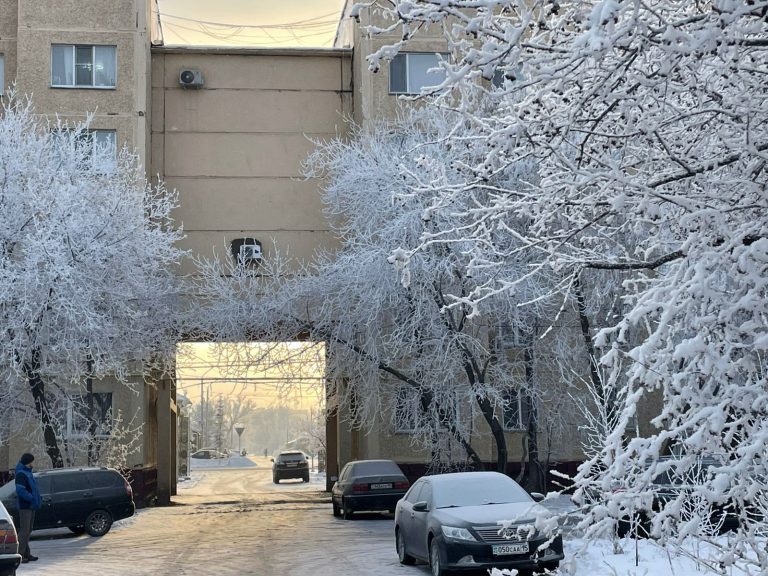 В Петропавловске еще одна пожилая женщина насмерть замерзла от переохлаждения