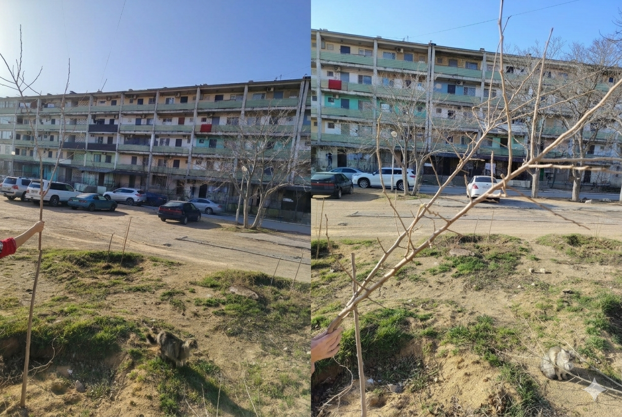 «Это удар по душе»: в Актау варварски уничтожили сад, который житель создавал годами