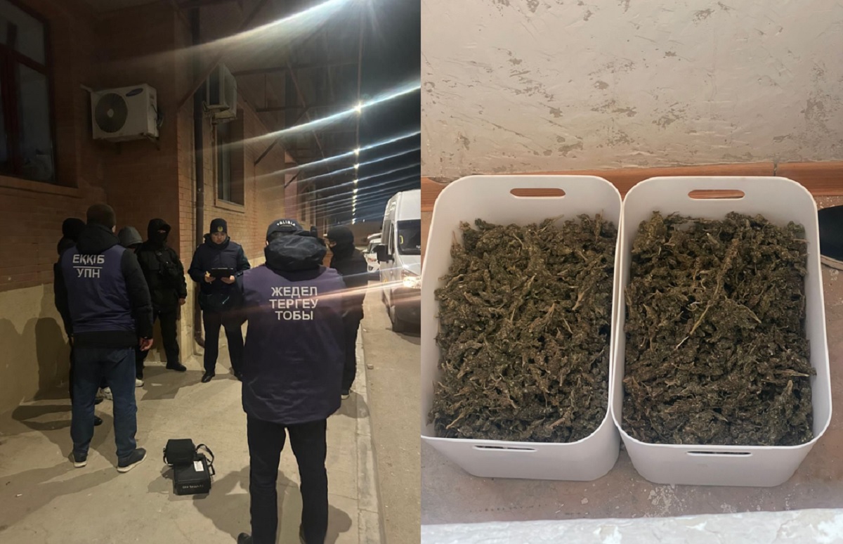 Более трех килограммов марихуаны изъято мангистаускими полицейскими