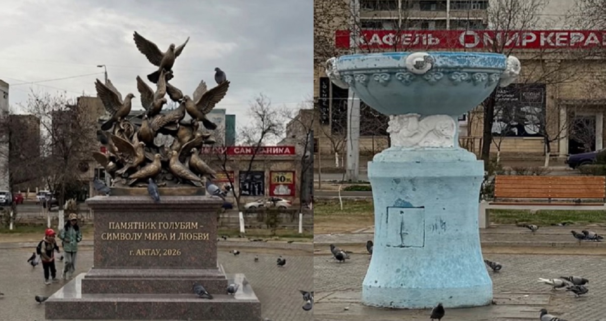 Жители Актау предложили установить памятник голубям