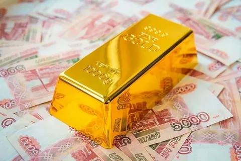 Новый порядок вывоза наличных и золота из России: важные изменения