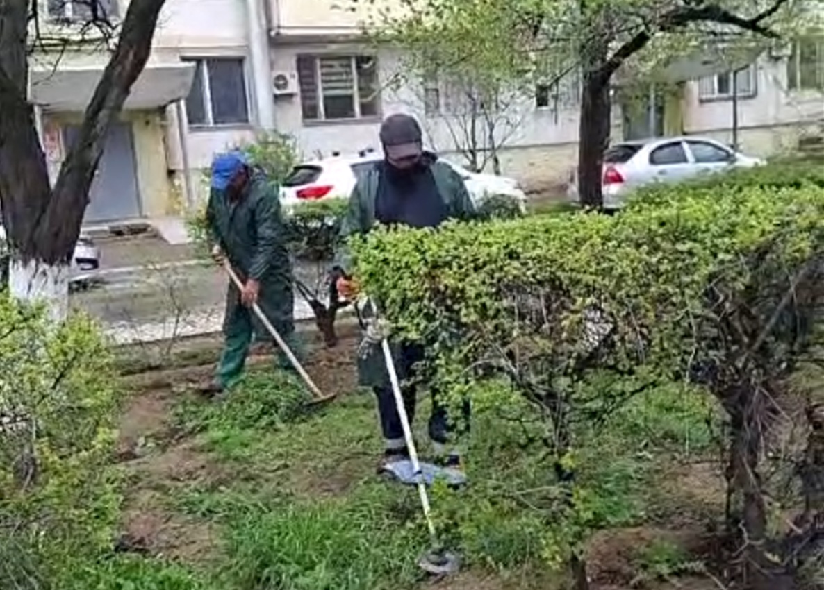 Голый песок поливать не надо: горожане возмущены ликвидацией зелёной травы в Актау
