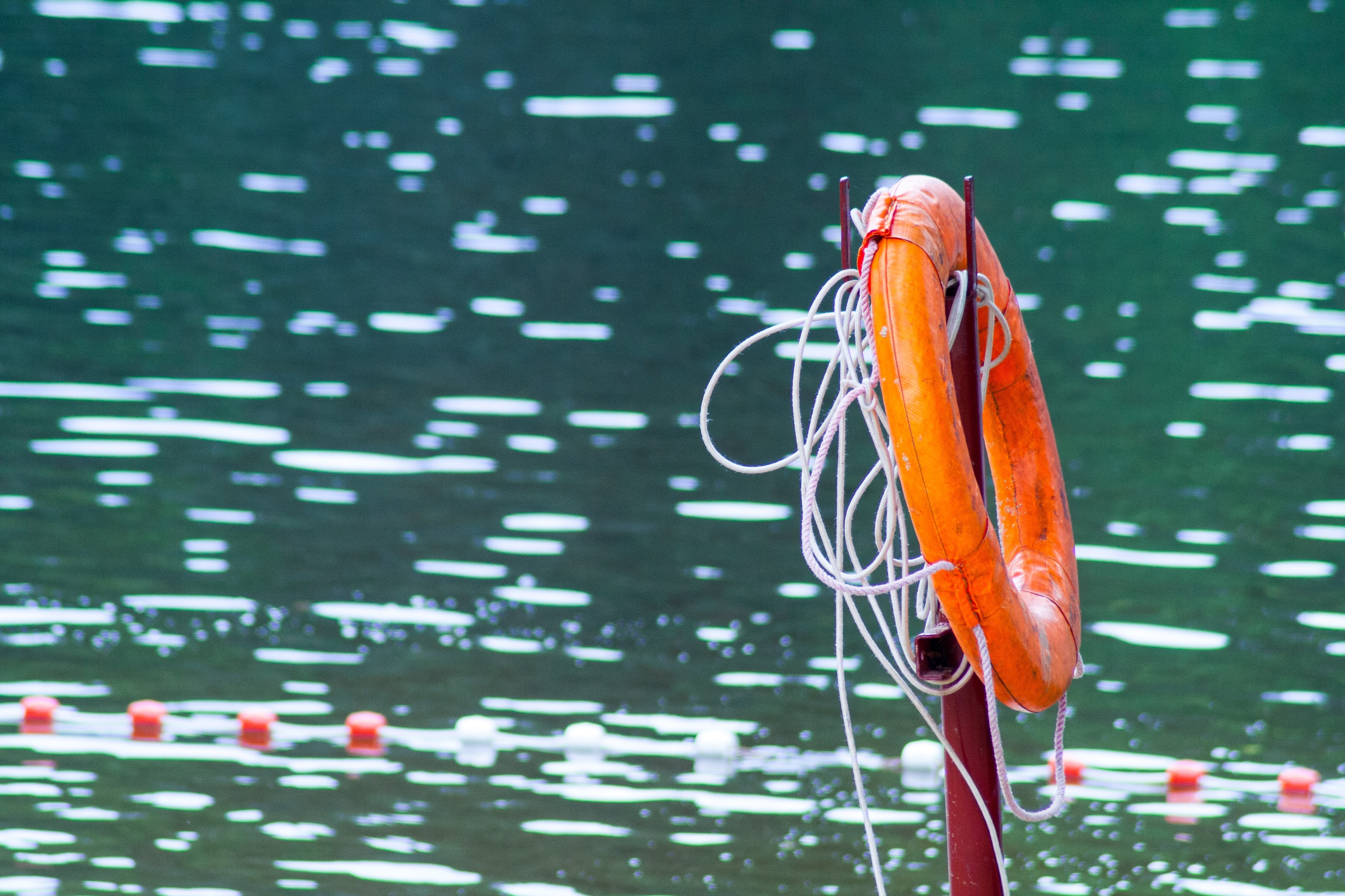 Фото: Pixabay