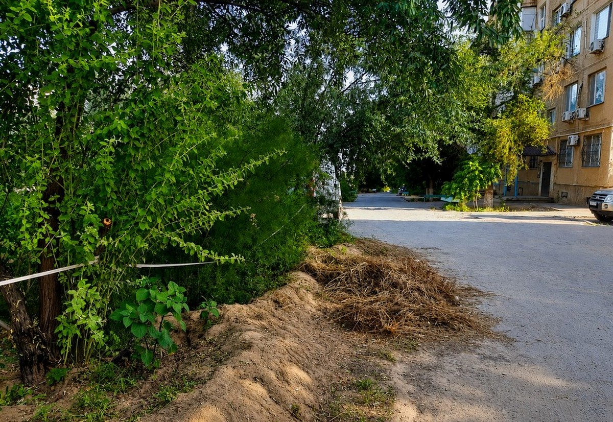 Фото автора