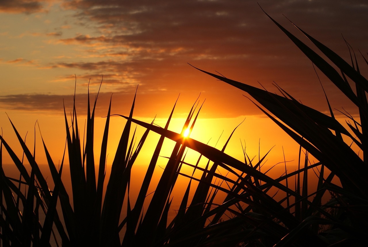 Фото pixabay.com