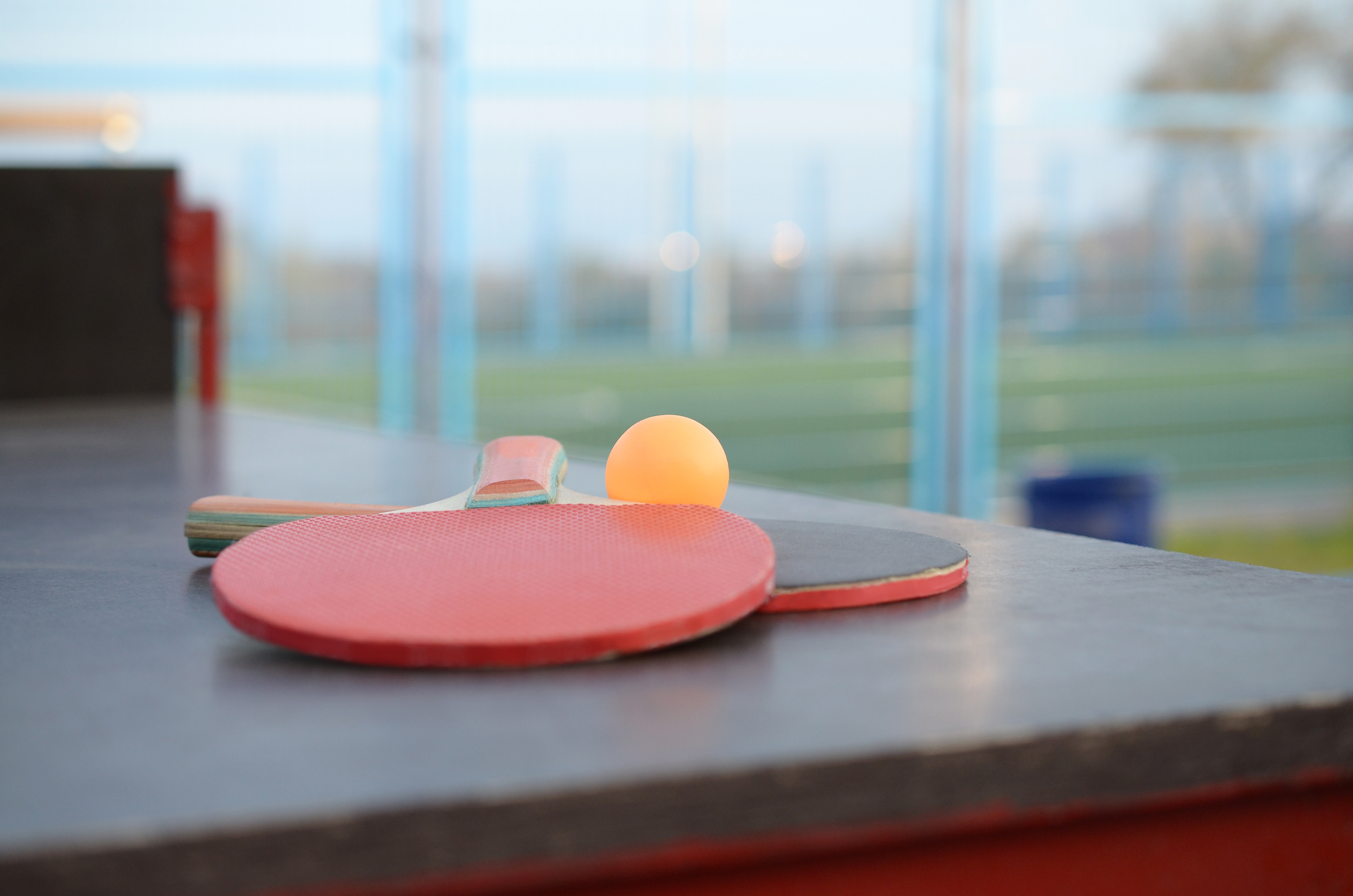 Иллюстративное фото envato.com