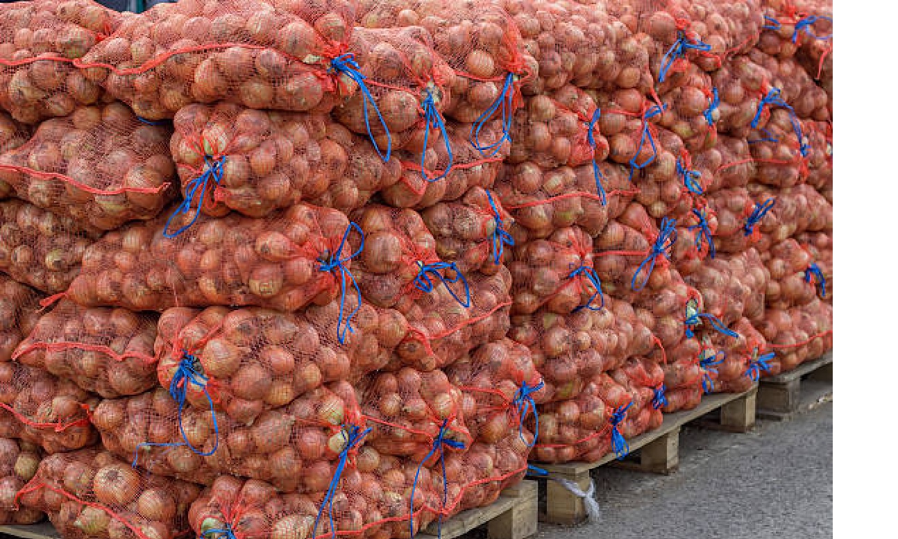 Kazakhstan has built hundreds of new vegetable storage facilities