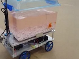 Студенты создали аквариум на колесах, управляемый рыбой