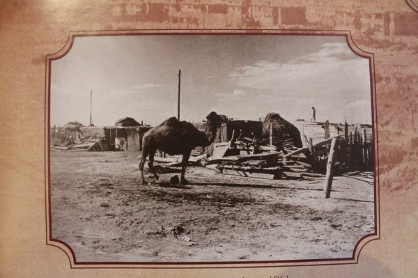 Как в Актау закладывали капсулу-послание поколению 2017 года, рассказали свидетели и участники события