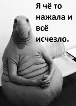 Новый мем Ждун взорвал Рунет