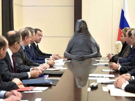 Новый мем Ждун взорвал Рунет