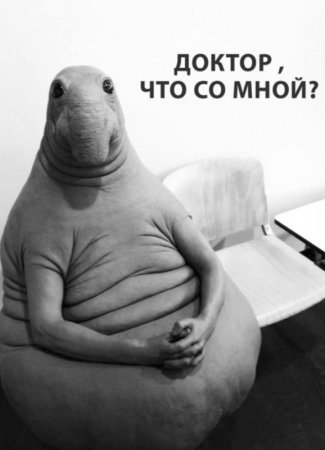 Новый мем Ждун взорвал Рунет