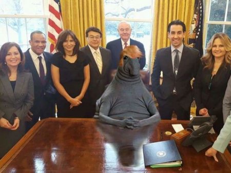 Новый мем Ждун взорвал Рунет