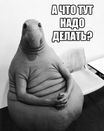 Новый мем Ждун взорвал Рунет