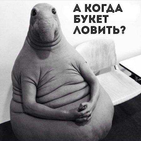 Новый мем Ждун взорвал Рунет