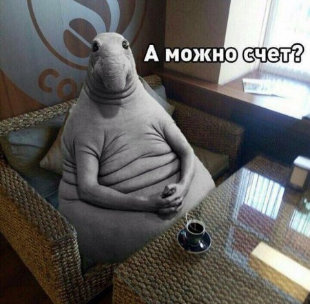 Новый мем Ждун взорвал Рунет