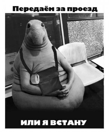 Новый мем Ждун взорвал Рунет