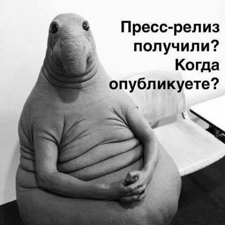 Новый мем Ждун взорвал Рунет