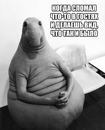 Новый мем Ждун взорвал Рунет