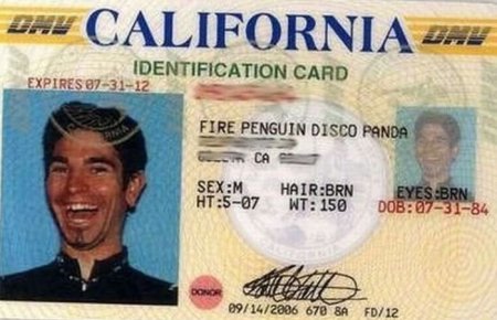 25 фамилий, которыми судьба «наградила» ни в чём не повинных людей