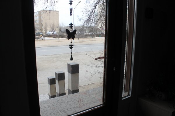 В Актау обокрали студию декора и флористики