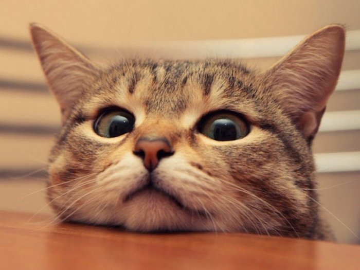 Как провести ближайшие выходные в Актау