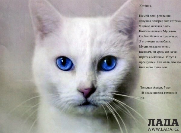 Более 600 детских работ были представлены на празднике «Пробуждение доброты» в Актау