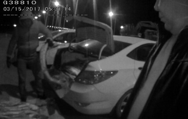 Жителя Актау задержали с рыбой осетровых пород весом свыше 230 килограммов