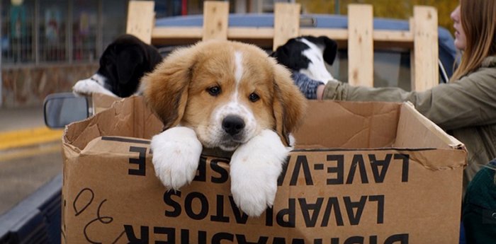 Как провести ближайшие выходные в Актау