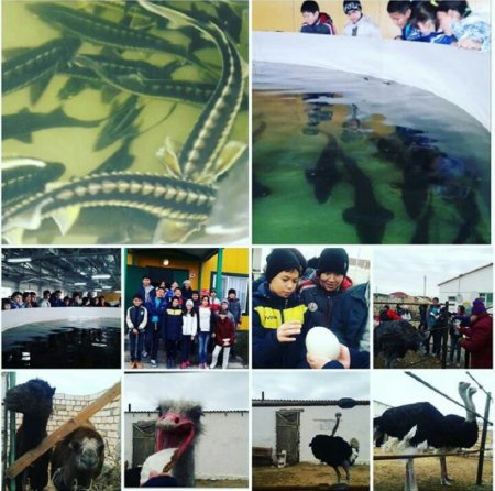 Как провести ближайшие выходные в Актау