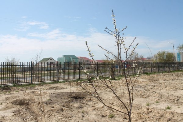 Аклима Карабаева: Мы выступили с инициативой назвать школу №3 в честь Рубена Григоряна