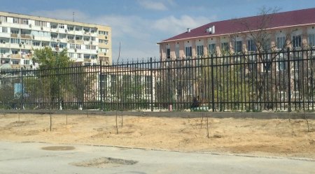 На месте демонтированных мобильных павильонов во 2 микрорайоне Актау высадили деревья