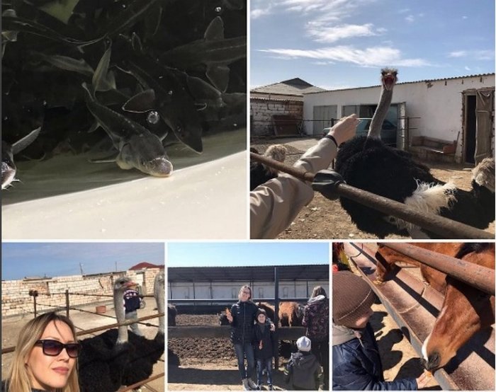 Как провести ближайшие выходные в Актау