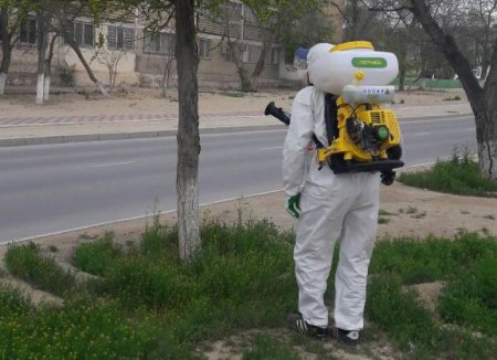 Абай Кожабаев: В Актау начали обработку зеленых насаждений от насекомых