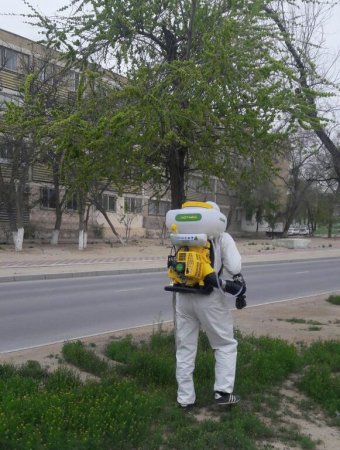 Абай Кожабаев: В Актау начали обработку зеленых насаждений от насекомых