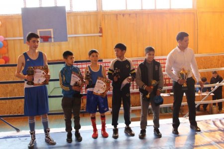 Мангистауские спортсмены завоевали 11 золотых медалей на юношеском первенстве по боксу