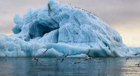 ОАЭ планируют отбуксировать к своему побережью айсберги из Антарктики 