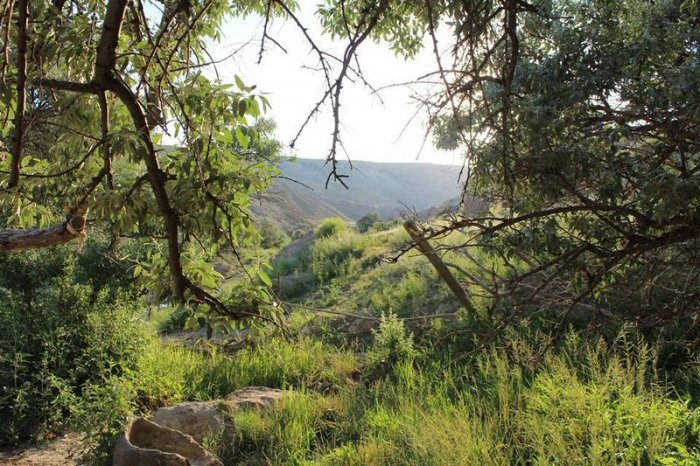 Как провести ближайшие выходные в Актау