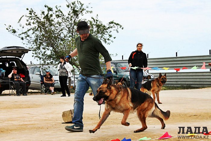 Выставка собак прошла в Актау