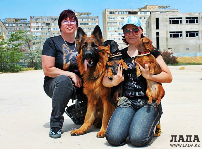 Выставка собак прошла в Актау