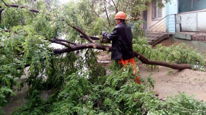 Во время ливня в Актау упало шесть деревьев