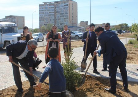 Предприниматель Актау подарил городу тысячу елей