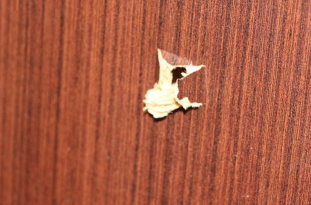 Родственница пострадавшей в пригороде Актау: Бывший парень племянницы палил по нам из пистолета